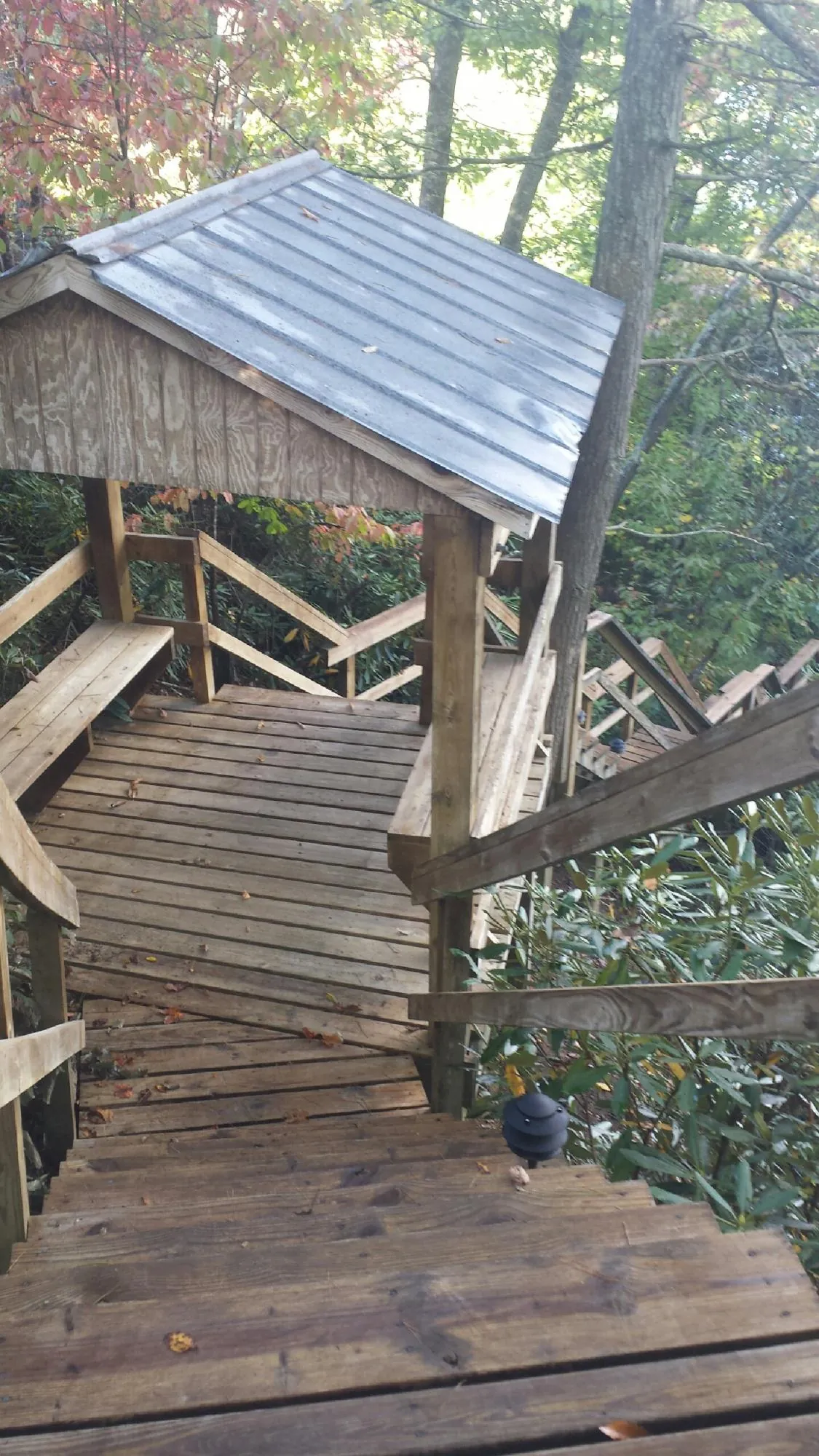Metal roofed shelter over wooden steps on a wooded walkway — Skylight Repair & Installation work by our crew in Grapeview